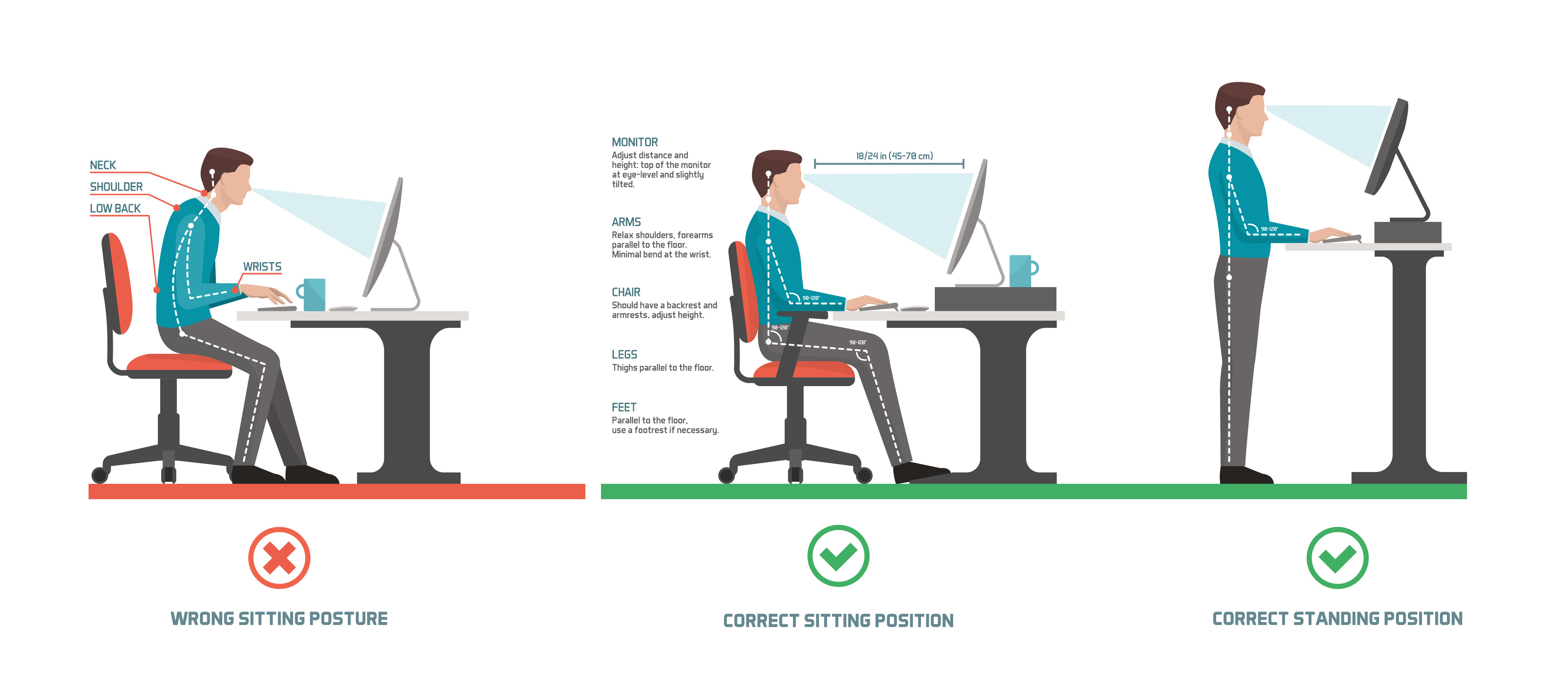 Best Posture for Sitting at a Desk all Day - Sydney Sports and